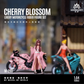 Lot57Supplies Diecast Shop MoreArt 1:64 scale resin motorcycle rider figure set with cherry blossom livery